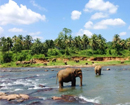 SL to launch tourism promotion campaigns in 5 countries